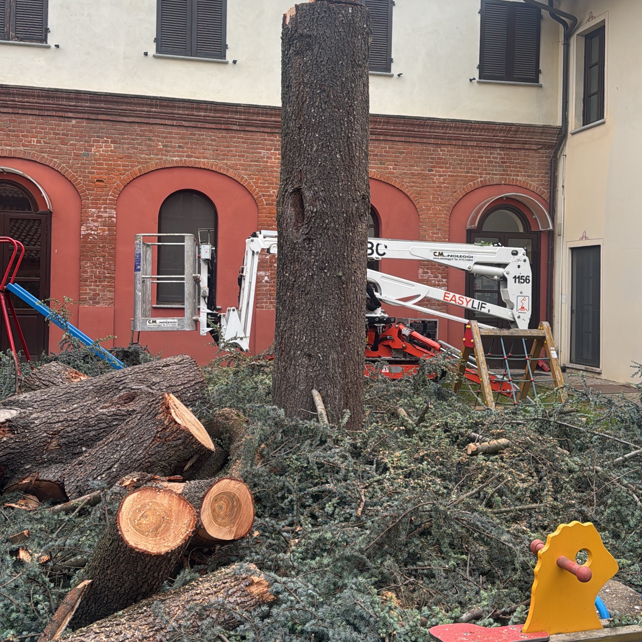 Tronco di un albero abbattuto con ciocchi tagliati e ramaglie in un cortile, con piattaforma aerea sullo sfondo